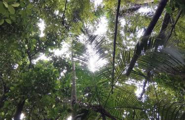 Campo e mar Bertioga - Foto 18