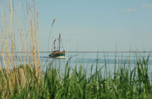 Ostsee-Ferienhaus im Grünen - Foto 20