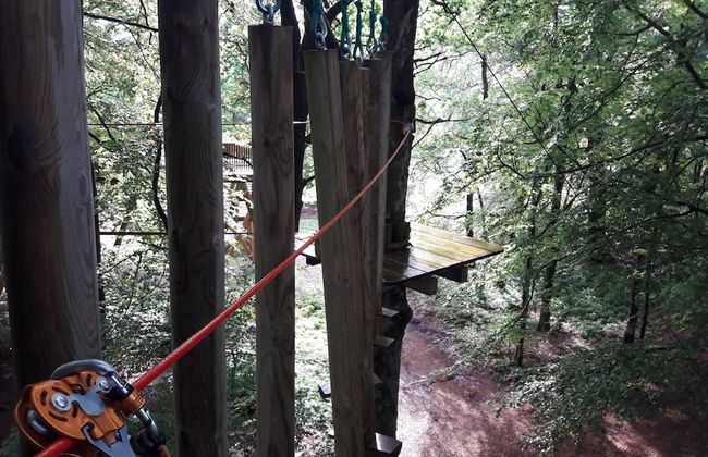 Etape en forêt - Foto 65