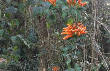 Reserva Atibaia / Casa de Montanha - Photo 38