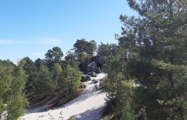 Gîte Les Acacias - Foto 15