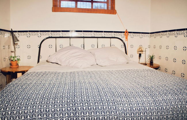 João Jungle - Foto 19