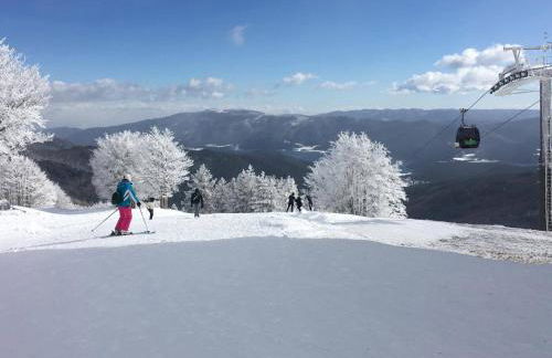 Chalet Natura Sport&Relax - Foto 42