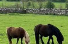 The Vogue Lodge - Photo 20