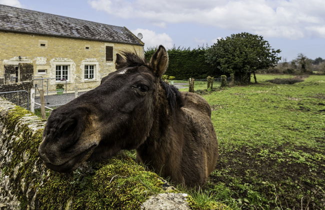 Holiday Home Le Clos Renard by Interhome - Foto 28