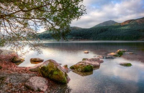 1 Bed in Cerrigydrudion oc-bow194 - Photo 20