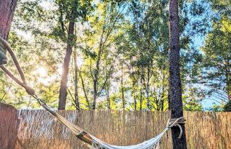 Szumiąca Sosna - Jacuzzi, Ognisko, Sauna, BBQ - Foto 35