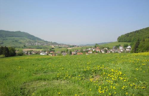 Familien-Appartement Schwarzwald bei Freiburg mit bis zu 4 Schlafzimmern - Foto 35