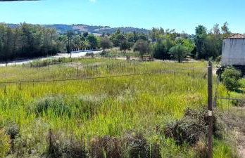 Lakkopetra Beach Apartments - Foto 7