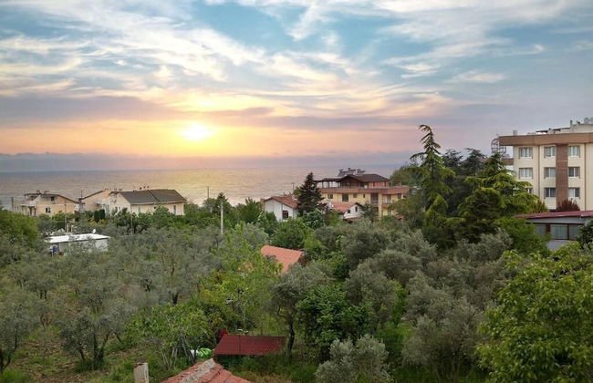 Flower City Suits - Photo 50