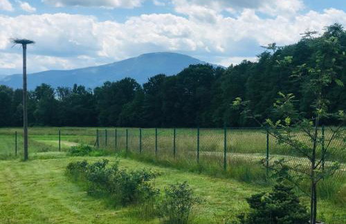 Domek na Kamieńcu - Foto 18