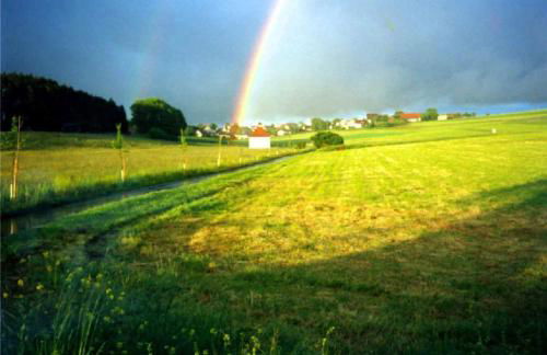 Haus Ketterer - Foto 38