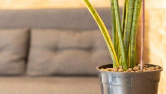 Design Porta Romana - Fondazione Prada - Foto 3