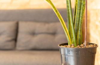 Design Porta Romana - Fondazione Prada - Foto 3