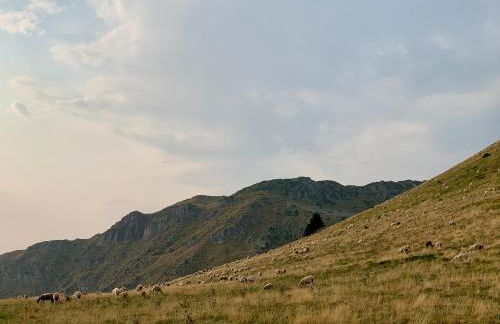 Chalet AbA, proche Luchon - Foto 25