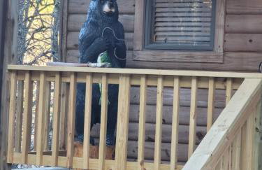 Bear Den on Lake Ouachita 2BR Condo at Mountain Harbor Resort - Foto 17