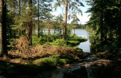 Ferienhof Ellerbeck - Foto 24