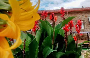 Casa Virginia - Foto 37