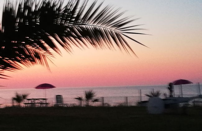 Perice Konak - Photo 1