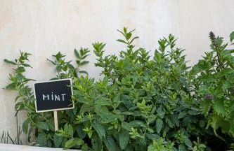 Mondethea vantage point home - Photo 42