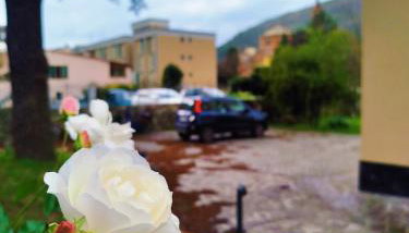 VILLA All'ombra del Cedro - Foto 4, Garden