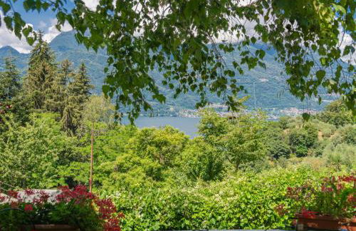 Apartment Nel Castagneto-1 by Interhome - Photo 47