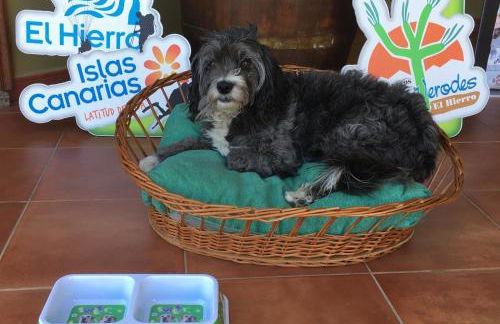 Apartamentos Los Verodes - Foto 86