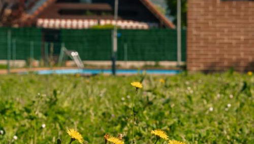 Casa de campo entre viñedos - Photo 4