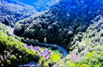 Ommelsbacher Mühle - Foto 48