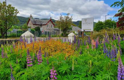 Willows Apartment - Foto 18