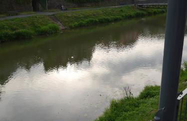 Tauberterrasse - Foto 15