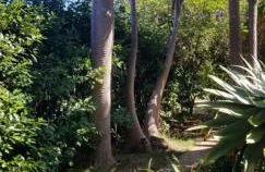 La Casita de la Vega - Foto 76