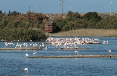 Verde Mare Isola - Foto 20