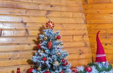 Cuore della Sila Apartment - Foto 12