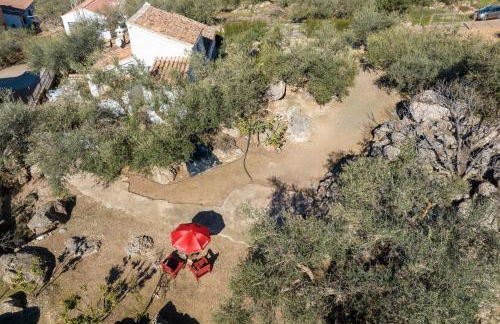 Cortijo Salva - Foto 27