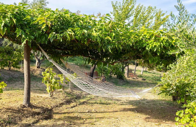 Stone Farmhouse in Groves - Sea Mountain Views - Foto 13