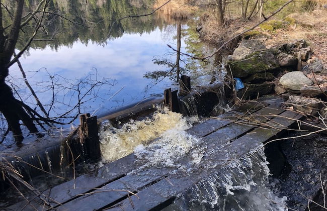 Björsjödal - Foto 73