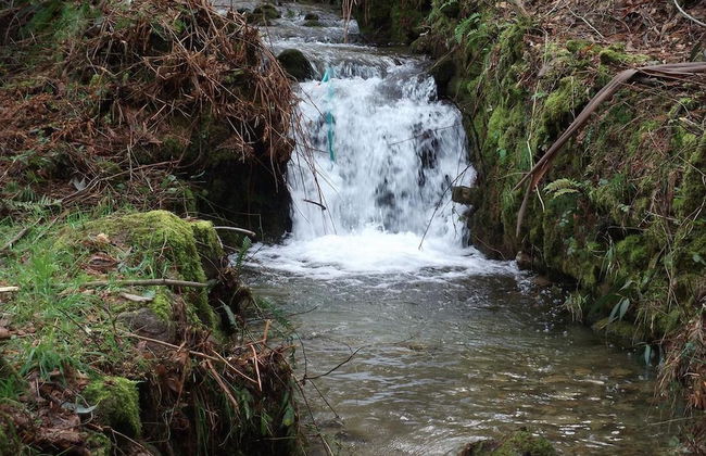 Quinta dos Caibrais - Photo 22