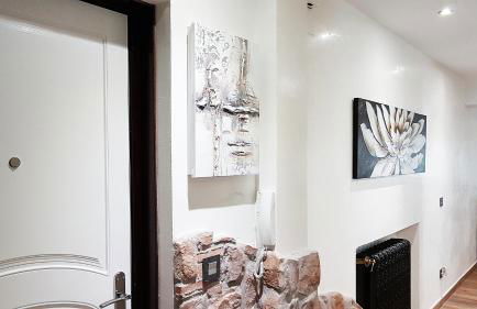 Salamanca Frog - Foto 8