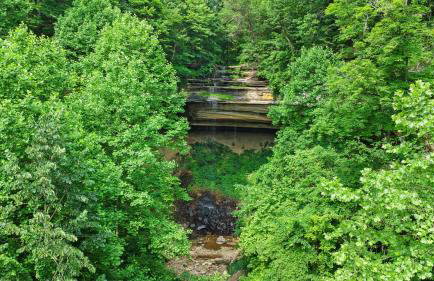 Pole Barn - Rustic 1BR Family Retreat with Open Views - Foto 66