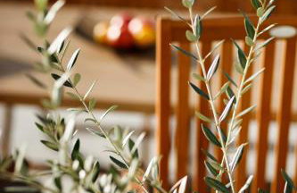 Bura house - Foto 47