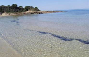 Villa Paolo - Rosa Marina Ostuni - Foto 43