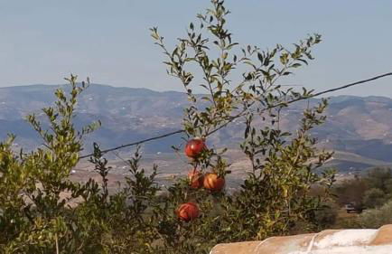 Casa Shyshka country cottage - Foto 49