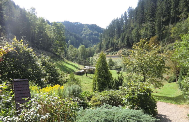 Comfy Apartment in Oppenau near Black Forest National Park - Foto 25