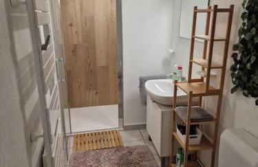 Studio Bellevue appart indépendant rénové 2024 piscine parking proche centre Annecy - Foto 7