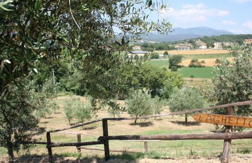 Agriturismo Val della Pieve - Foto 9