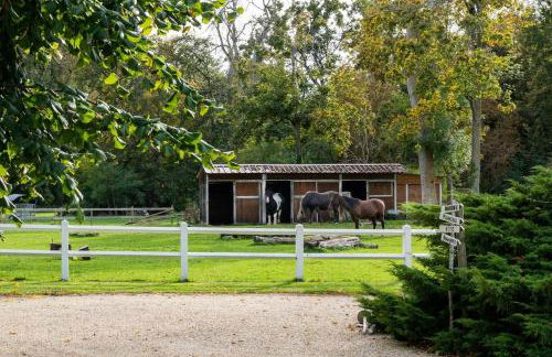 Le château - Foto 6