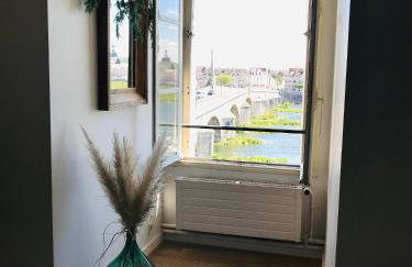 Blois, vue panoramique Loire - Photo 15