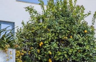 Casa Gondiga - Foto 11