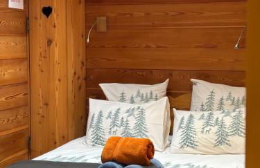 App style chalet de caractère, chaleureux et confortable pied des pistes - Foto 20